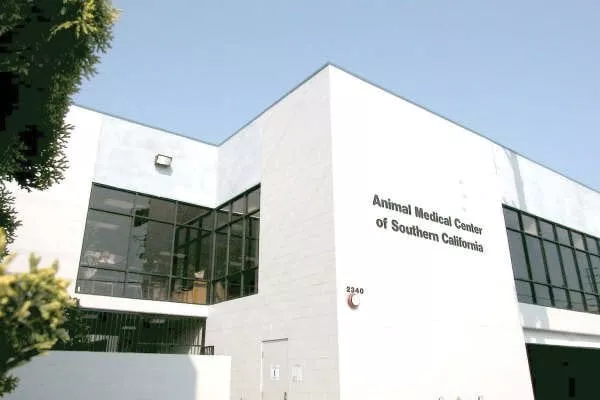 Advanced Veterinary Medical Imaging, California, Los Angeles